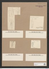 Navicula sp. (de-Toni-Nr.: Genus 1) Zeichnungen Sammlung Grunow Nr. 1597 (NHMW-BOT-W0368141)